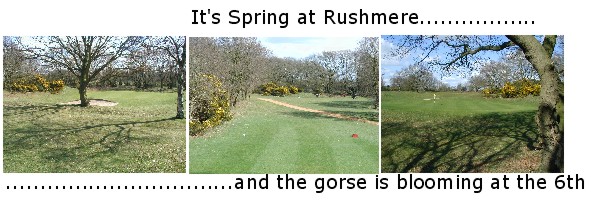 Spring at Rushmere 2006